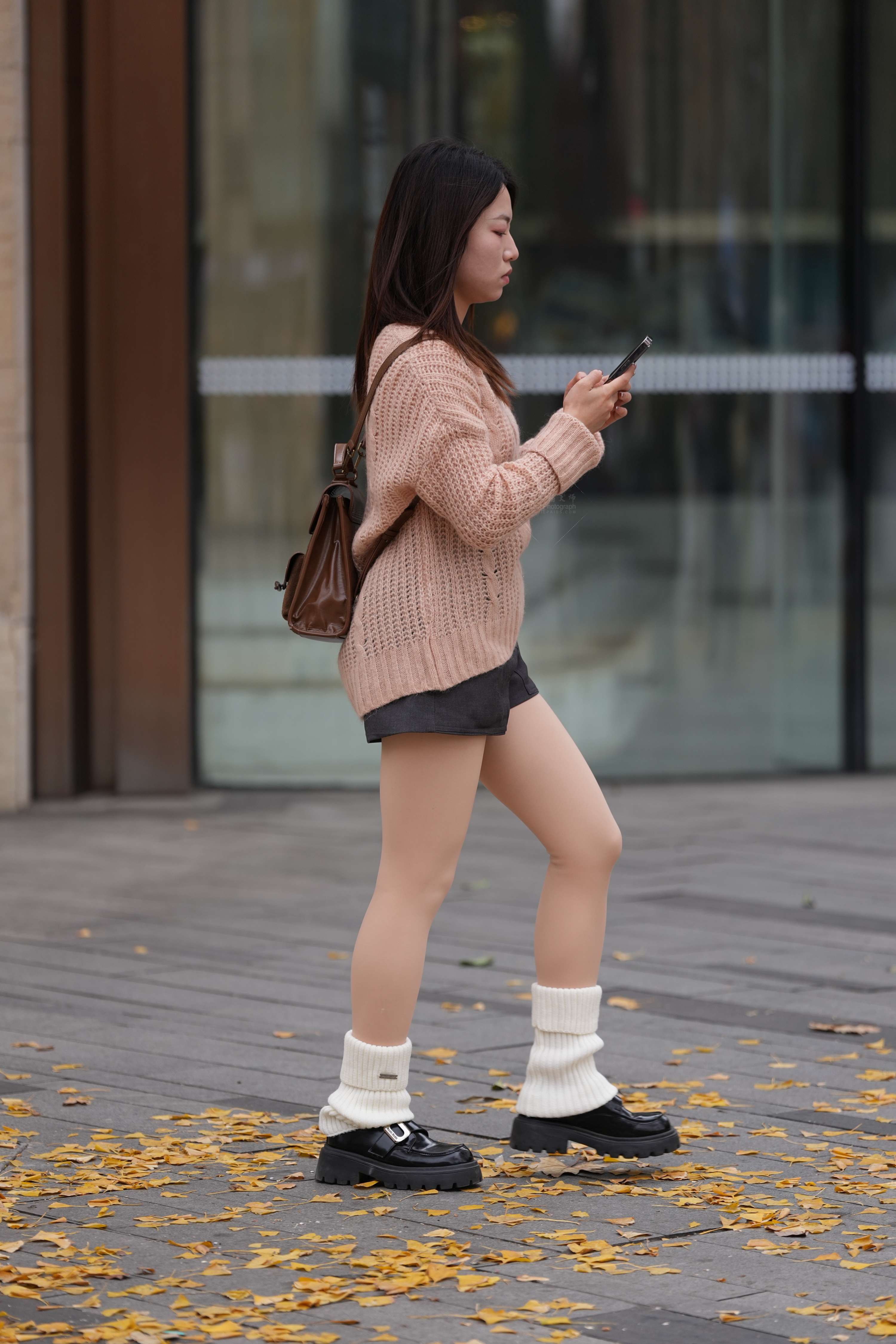 【丝工坊】2026.6.5银杏叶 大图分享｜高清写真合集